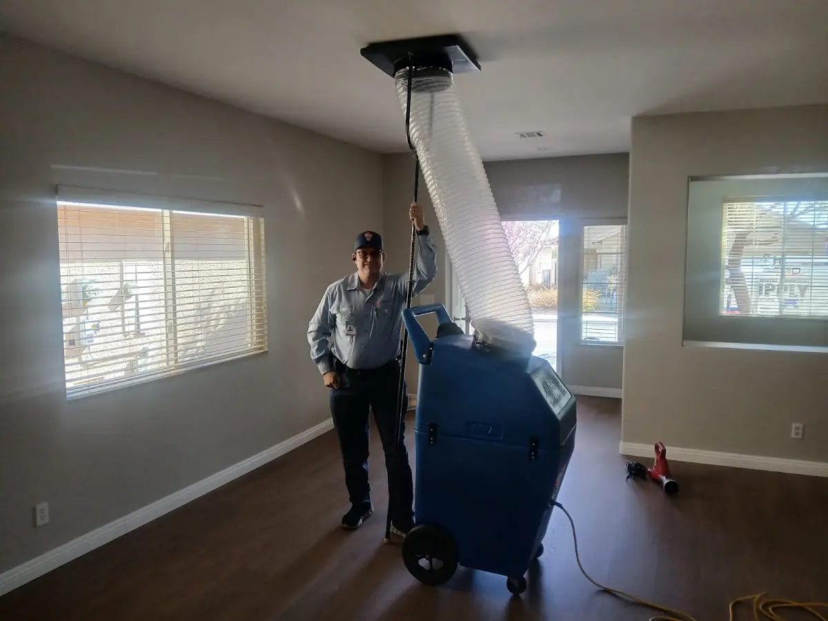 Professional Dryer Vent Cleaning work inside a Alton home